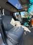 Toyota Land Cruiser 100 TD Executive *2.Hand*Scheckheft* Silber - thumbnail 10