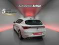 SEAT Leon 1.0 TSI S&S FR 25º Aniversario 110 Blanco - thumbnail 4