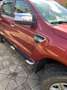 Ford Ranger Ranger Doppelkabine Wildtrak 4x4 3,2 TDCi Wildtrak Rot - thumbnail 11