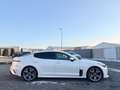 Kia Stinger Kia Stinger GT 4WD NoOPF SnowWhite BI-LED MwSt Weiß - thumbnail 5