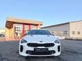 Kia Stinger Kia Stinger GT 4WD NoOPF SnowWhite BI-LED MwSt Weiß - thumbnail 3