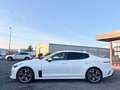 Kia Stinger Kia Stinger GT 4WD NoOPF SnowWhite BI-LED MwSt Weiß - thumbnail 9