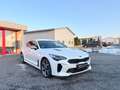 Kia Stinger Kia Stinger GT 4WD NoOPF SnowWhite BI-LED MwSt Weiß - thumbnail 4