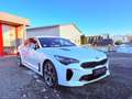 Kia Stinger Kia Stinger GT 4WD NoOPF SnowWhite BI-LED MwSt Weiß - thumbnail 1