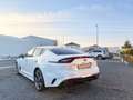 Kia Stinger Kia Stinger GT 4WD NoOPF SnowWhite BI-LED MwSt Weiß - thumbnail 8