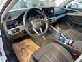 Audi A4 Avant 40 TDI quattro S-line S-tronic Weiß - thumbnail 9
