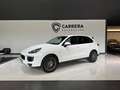 Porsche Cayenne Diesel Platinum Edition Aut. Blanc - thumbnail 1