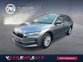 Skoda Octavia Selection TDI DSG Grau - thumbnail 1