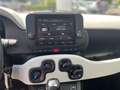 Fiat Panda Cross Hybrid 1.0 GSE PARKSENSOREN KLIMA BT Weiß - thumbnail 10