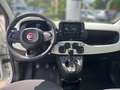 Fiat Panda Cross Hybrid 1.0 GSE PARKSENSOREN KLIMA BT Weiß - thumbnail 11