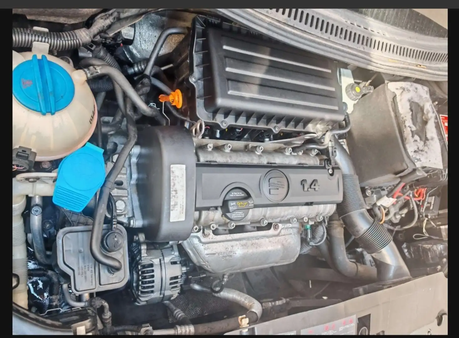 SEAT Altea 1.4 Reference - 2