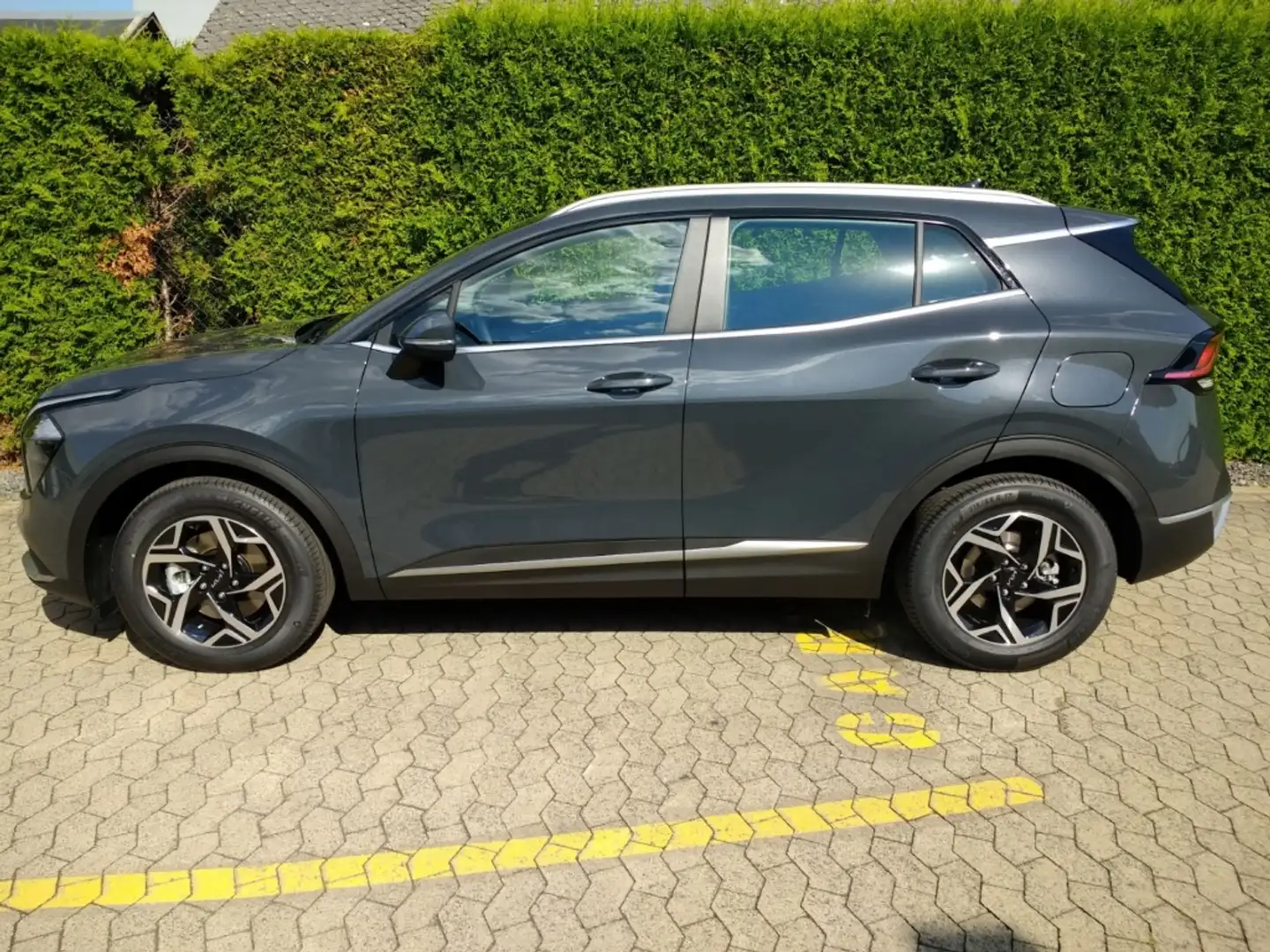 Kia Sportage Vision 1.6 T-GDI 48V AHK el. Sitze SHZ LHZ Grigio - 2