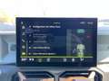 Dacia Duster TCe 130 4x4 Adventure Extreme Grün - thumbnail 15