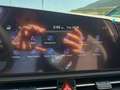 Kia Niro 1.6 gdi hev evolution 129cv dct6 Bianco - thumbnail 11