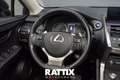 Lexus NX 300h 2.5 Hybrid Business CVT Grigio - thumbnail 9