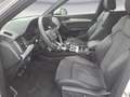 Audi SQ5 TDI quattro tiptronic Optik Navi connect Bus Bianco - thumbnail 8