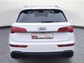 Audi SQ5 TDI quattro tiptronic Optik Navi connect Bus Bianco - thumbnail 5