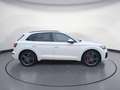 Audi SQ5 TDI quattro tiptronic Optik Navi connect Bus Bianco - thumbnail 6
