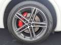 Audi SQ5 TDI quattro tiptronic Optik Navi connect Bus Bianco - thumbnail 12