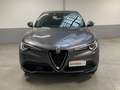 Alfa Romeo Stelvio 2.2 Turbodiesel 160 CV AT8 RWD Business Gris - thumbnail 1