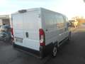 Fiat Ducato Ducato 30 L1H1 120  Navi Kasten Netto € 19.000,- Blanc - thumbnail 5