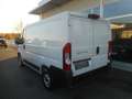 Fiat Ducato Ducato 30 L1H1 120  Navi Kasten Netto € 19.000,- Blanc - thumbnail 7