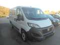 Fiat Ducato Ducato 30 L1H1 120  Navi Kasten Netto € 19.000,- Blanc - thumbnail 4