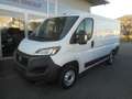 Fiat Ducato Ducato 30 L1H1 120  Navi Kasten Netto € 19.000,- Blanc - thumbnail 1