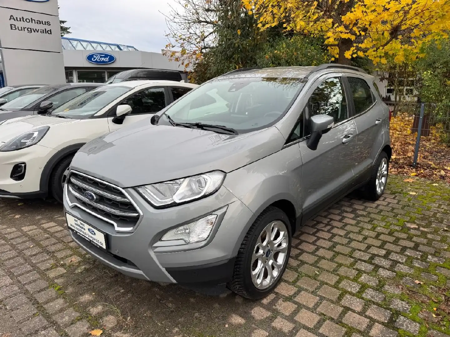 Ford EcoSport EcoSport 1.0 EcoBoost Titanium Start/Stopp (EURO 6 Gris - 2
