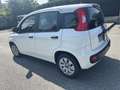 Fiat Panda 1.2 Easy 69cv prezzo reale - thumbnail 5