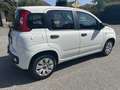 Fiat Panda 1.2 Easy 69cv prezzo reale - thumbnail 4