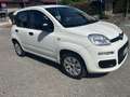 Fiat Panda 1.2 Easy 69cv prezzo reale - thumbnail 6