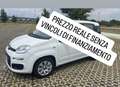Fiat Panda 1.2 Easy 69cv prezzo reale - thumbnail 3