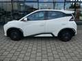BYD Dolphin SURF Active 30 kwh*Kamera*Leder* Blanc - thumbnail 2