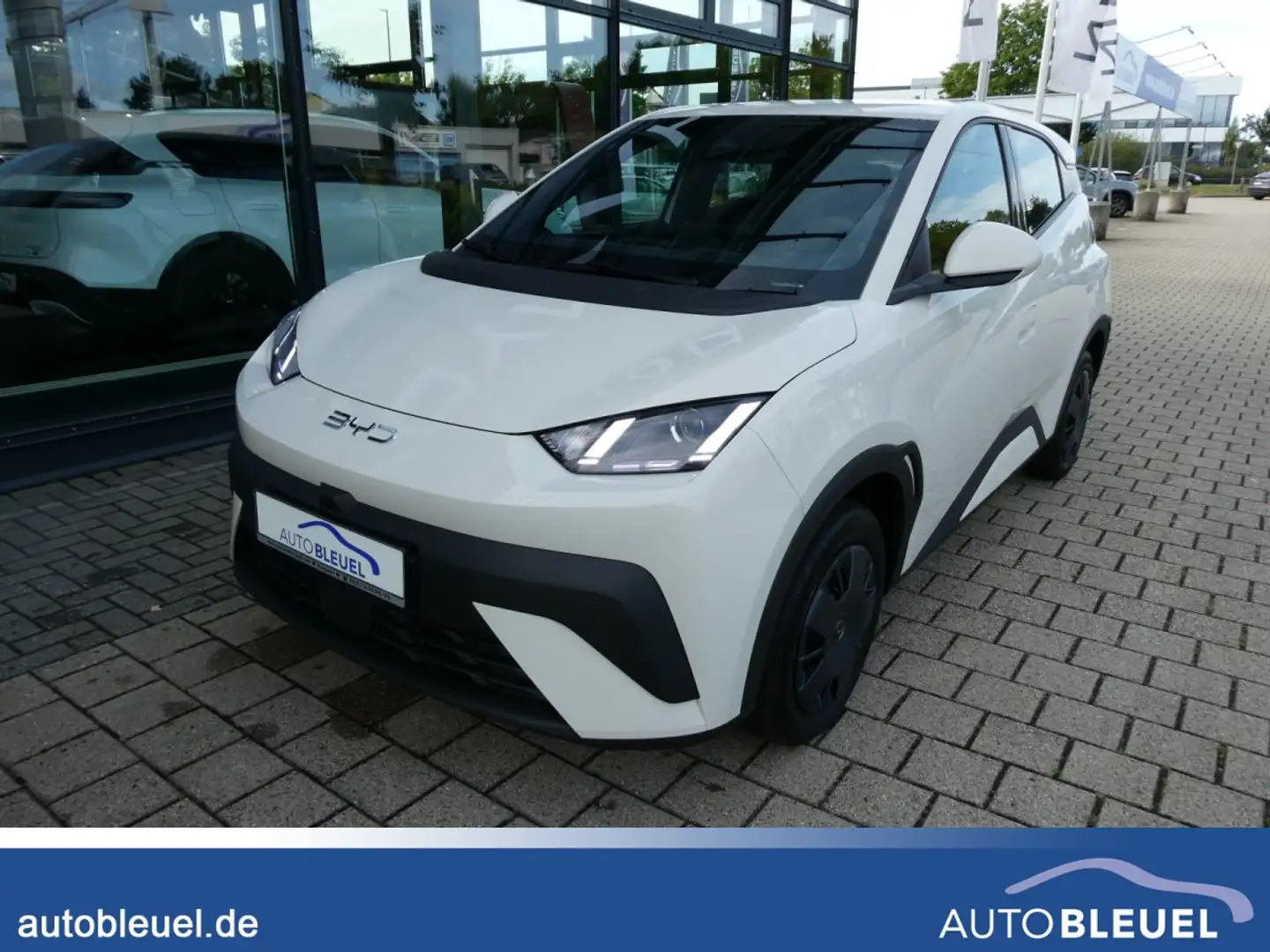 BYD Dolphin SURF Active 30 kwh*Kamera*Leder* Blanc - 1