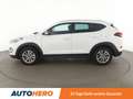 Hyundai TUCSON 1.6 Advantage blue 2WD *NAVI*TEMPO*CAM*PDC*SHZ* Bianco - thumbnail 3