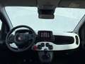 Fiat Panda Pandina 1.0 70pk Hybrid | Navigatie via app | Airc Negro - thumbnail 16