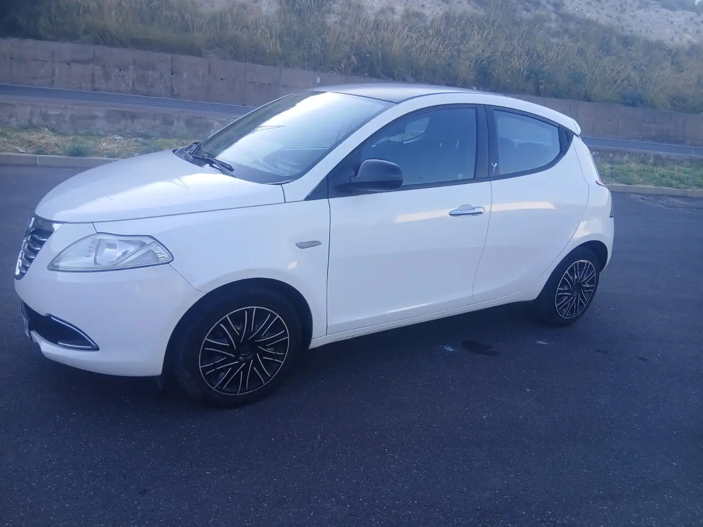 Lancia Ypsilon 1.3 mjt Elefantino s&s 95cv - 2