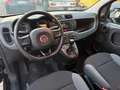 Fiat Panda 1.2 GPL Easy Noir - thumbnail 11