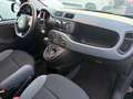 Fiat Panda 1.2 GPL Easy Noir - thumbnail 8