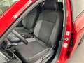 Volkswagen Polo 1.0 TSI Life (70kW) 95ch 5 vitesses Rouge - thumbnail 2
