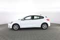 Ford Focus 1.5 EcoBlue 120 CV 5p. ST Line Bianco - thumbnail 6
