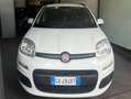Fiat Panda Panda III 2016 1.2 Lounge s Bianco - thumbnail 4