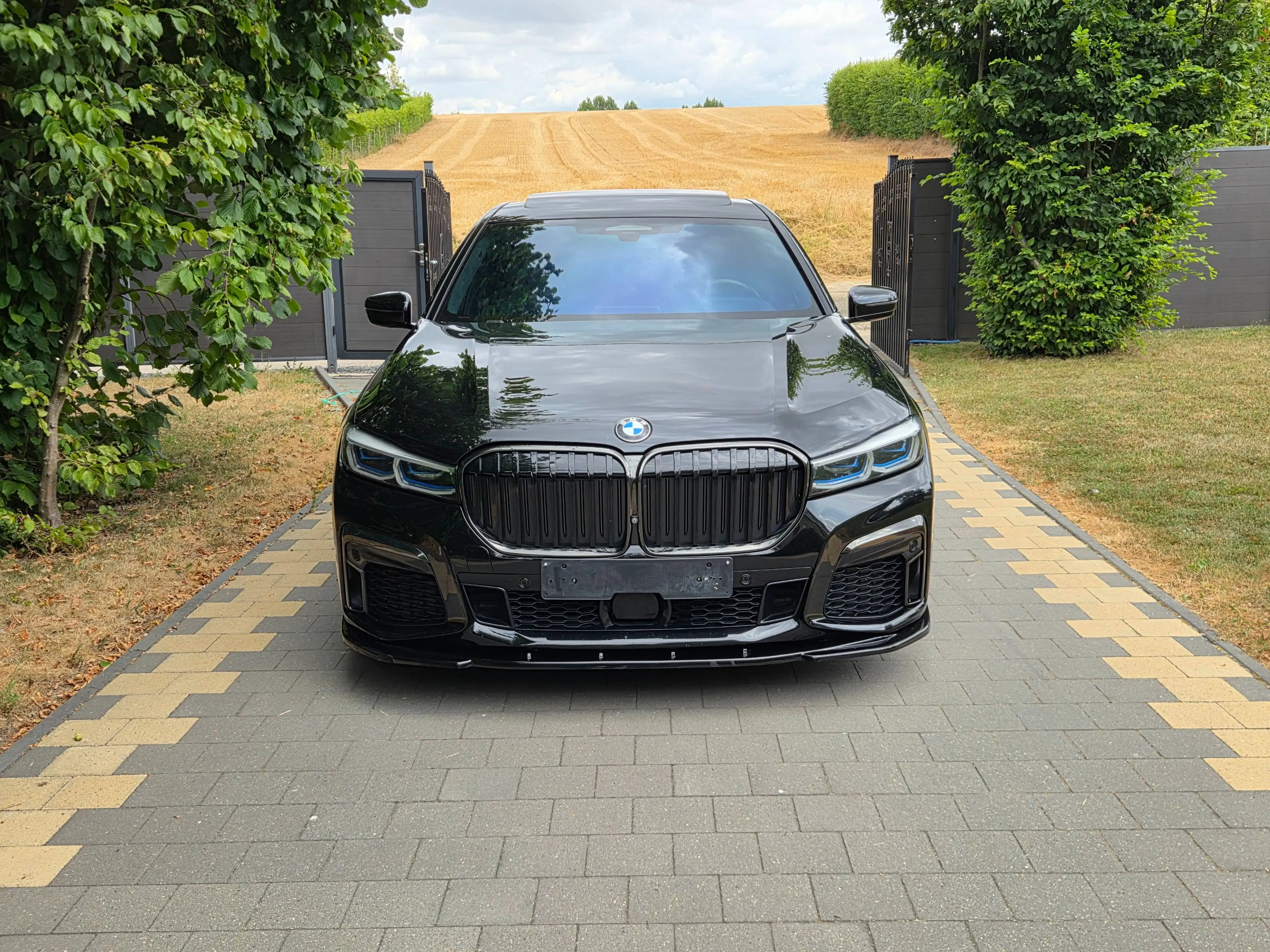 BMW 745 e iPerformance — photo 6