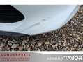Kia Ceed / cee'd 1.6 CRDi Vision Kamera Navi PDC LM SHZ Weiß - thumbnail 9