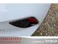 Kia Ceed / cee'd 1.6 CRDi Vision Kamera Navi PDC LM SHZ Weiß - thumbnail 12