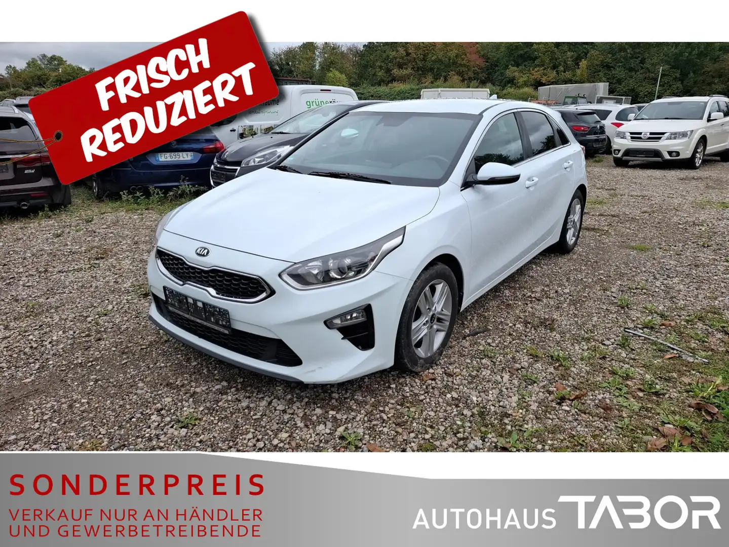 Kia Ceed / cee'd 1.6 CRDi Vision Kamera Navi PDC LM SHZ Weiß - 1