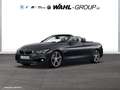 BMW 440 i xDrive CABRIO NAVI PROF LEDER HUD ALARM    KOMFO Gri - thumbnail 1