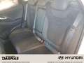 Hyundai i30 i30 FL MY25 1.5 Turbo 48V N Line Klimaaut PanoD - thumbnail 12