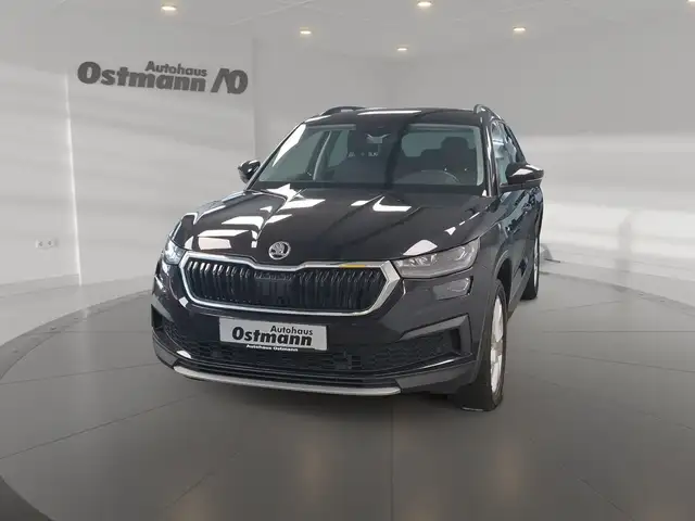 Skoda Kodiaq 2.0 TSI Clever 4xSHZ 7-Sitzer AHK RFK Navi